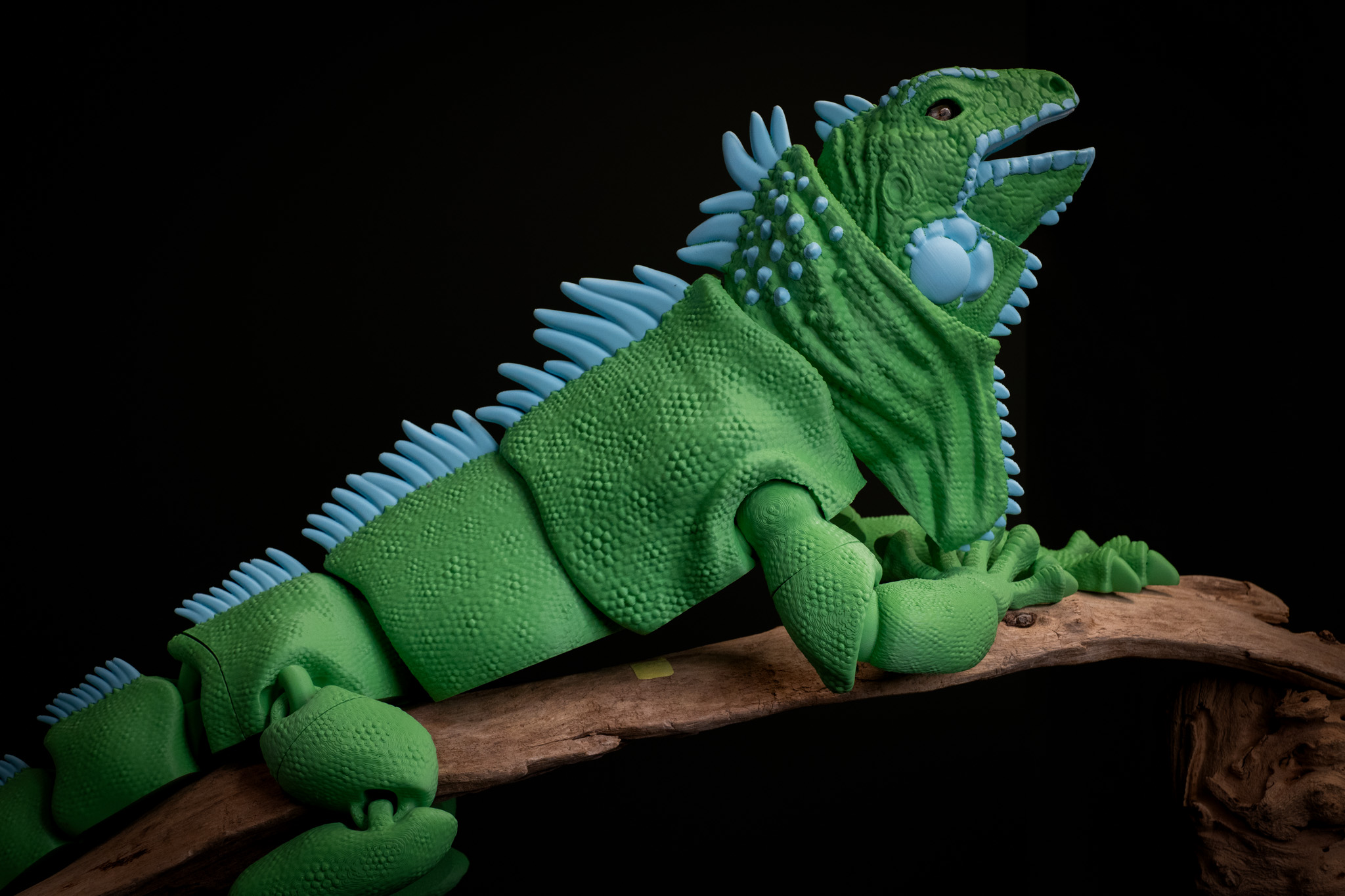 Subscriber Exclusive XL Iguana Available to download