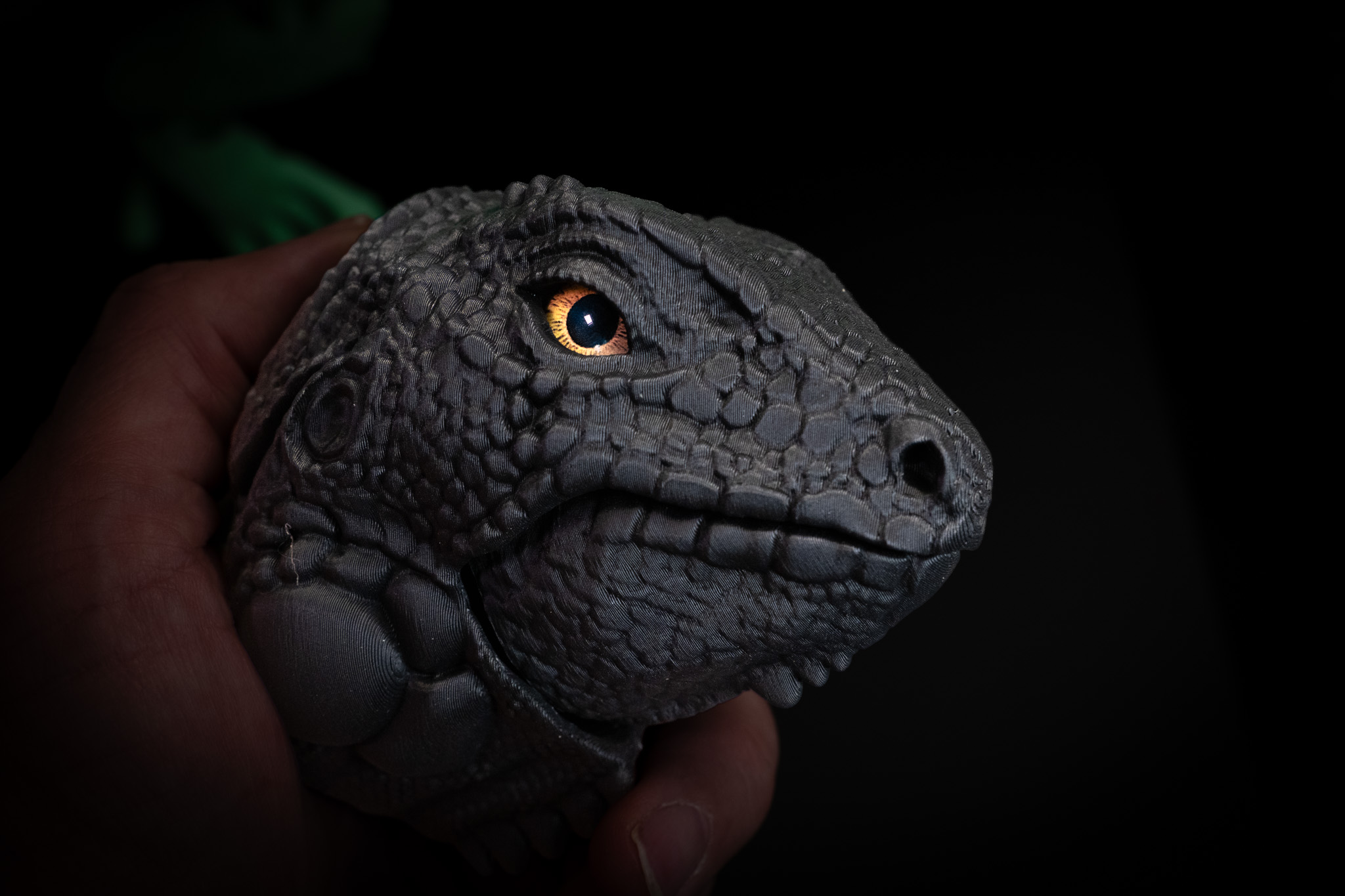 Subscriber Exclusive XL Iguana Available to download