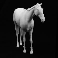White Horse at The Mall, London 3D model by Scan The World