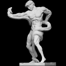 Athlete Wrestling a Python 3D model by Scan The World