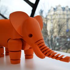 Elephant LFS 3D model