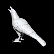 Crow - Support Free 3D model by Evavoo
