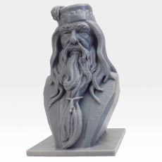 Albus Dumbledore Bust 3D model by Tanya Wiesner