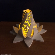 Radiant Blossom 3D model
