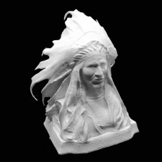 Chief Black Bird From the Rees-Jones Collection at Amon Carter Museum, Fort Worth 3D model
