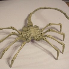 Agisis Ultimate Alien Face Hugger (40in x 23in - LIFE SIZE!) 3D model