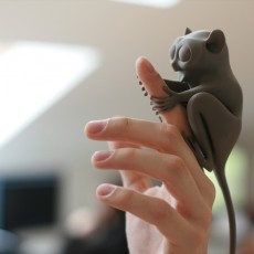Tarsier 3D model by Matúš Danko