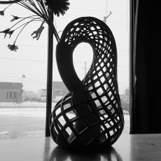 Klein Vase 3D model