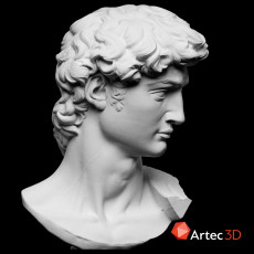 Head of Michelangelo's David 3D model by SMK - Statens Museum for Kunst