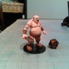 Ogre 3D model by Miguel Zavala