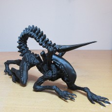 Alien - Xenomorph - Full Figure - 25 CM 3D model by Printed Obsession