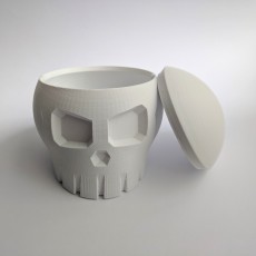 Skull Box with Cranial Lid 3D model by Clockspring