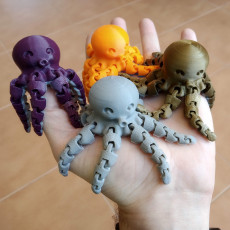 Cute Mini Octopus 3D model by mcgybeer