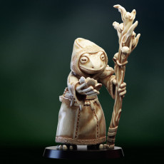 Druid shaman Frogfolk 3D model by PollyGrimm