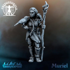 Muriel, Druid of the Plains 3D model