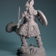 Shield Maiden 3D model