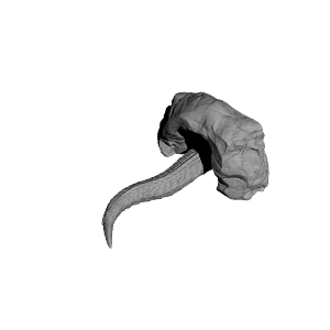 Dragon in a cave