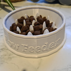 Slow Feeder Dog or Cat Food Bowl (Anti Choking Bowl) (No supports) 3D model