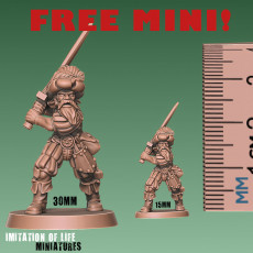 Fancy Swordsman - Free test sample mini 3D model