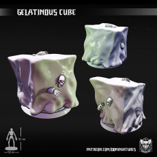 Gelatinous Cube [Gelatinous Cube] 3D model