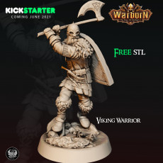 KICKSTARTER FREE ''VIking Warrior" Presupported 3D Model 3D model