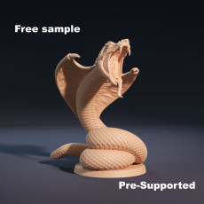 Giant Snake free sample 3D model