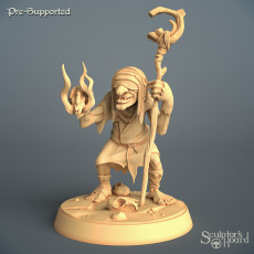 Goblin Shaman 3D model