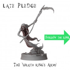 The Wraith King's Army_Free model 3D model