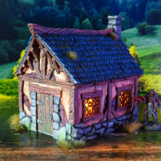 Little Cottage 3D model