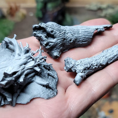 Realistic stumps and logs - photo-scanned terrain props 3D model by Don Whitaker