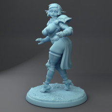 Pointless Armor Elf 3D model