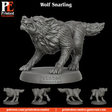 Wolf Snarling 2 3D model