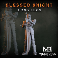 Blessed Long Legs Knight 3D model