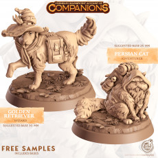 Companions Welcome Set (FREE) 3D model
