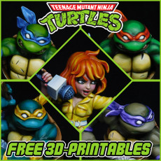 TMNT Buddies Set 1 3D model