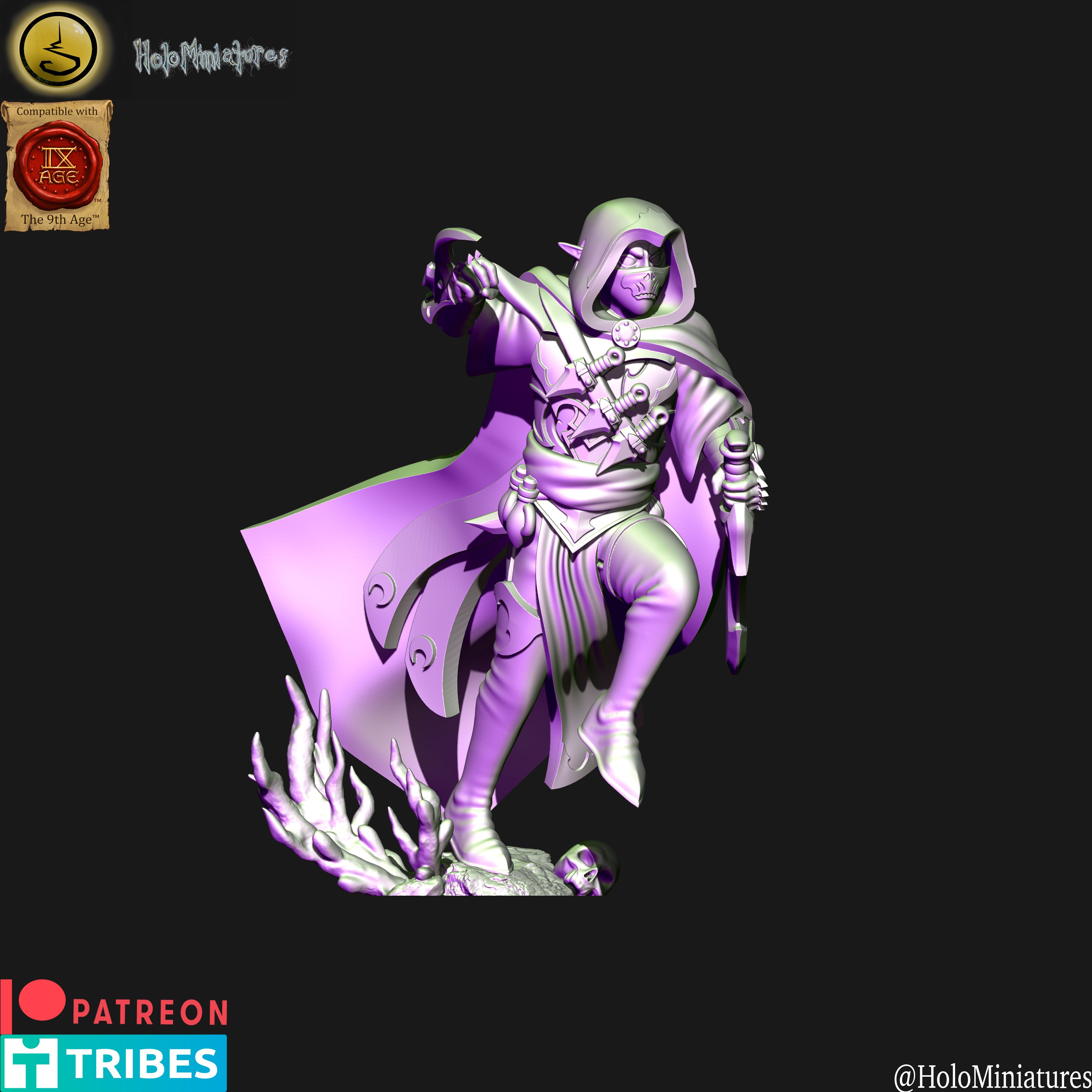 Dark elves assassin (elf)