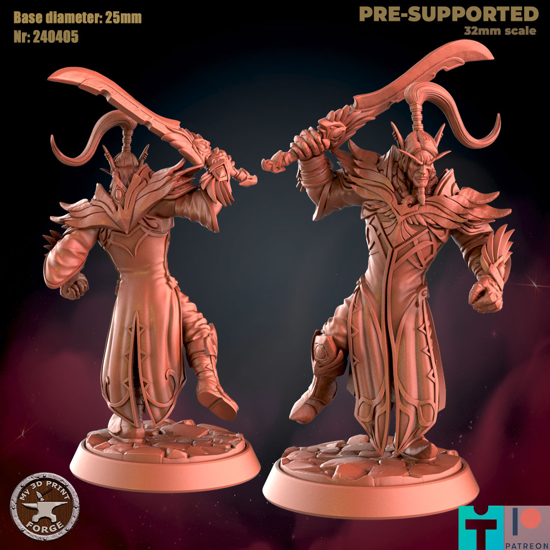 BLOOD ELF LORD THERON ATTACK