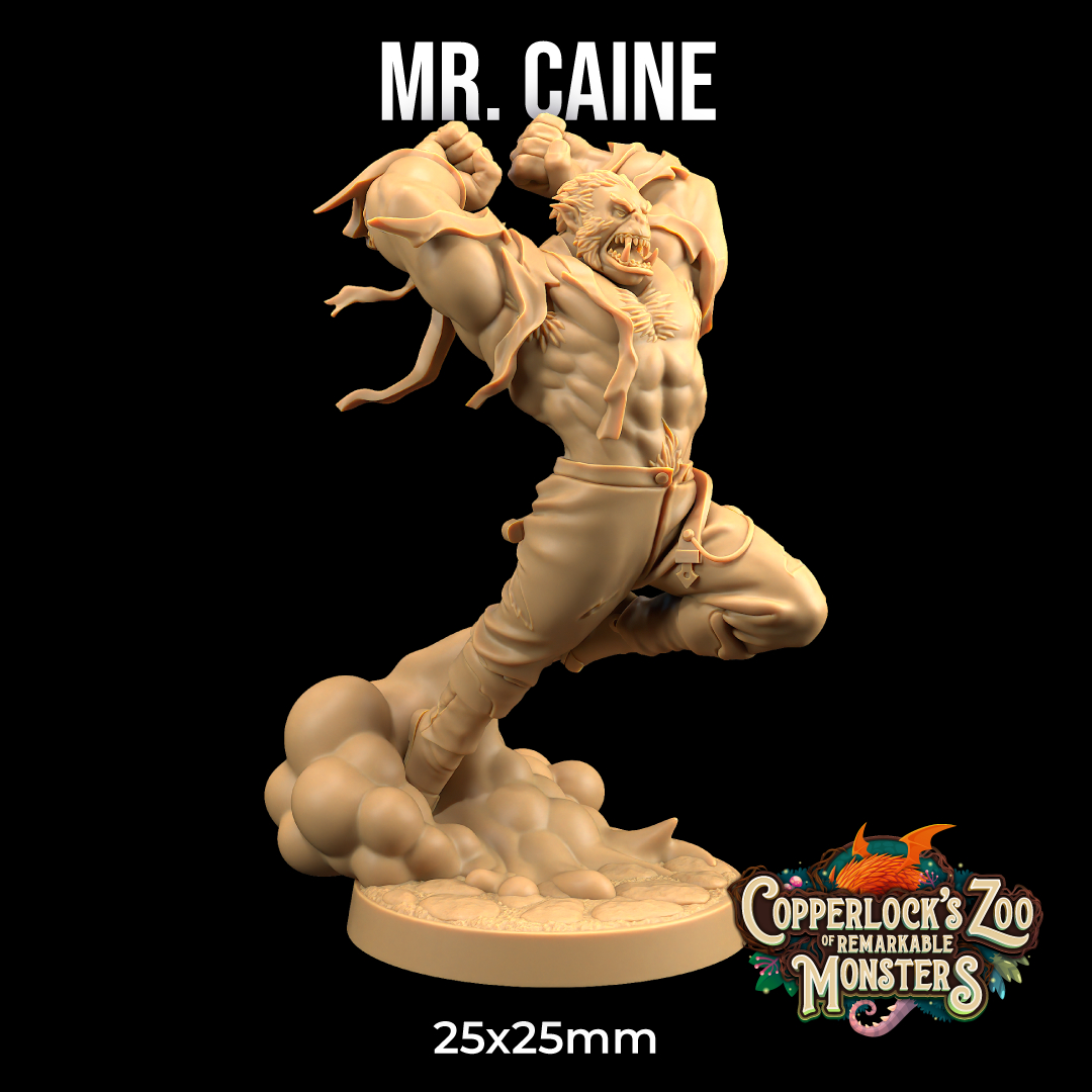 Mr. Caine | PRESUPPORTED | Copperlock's Zoo