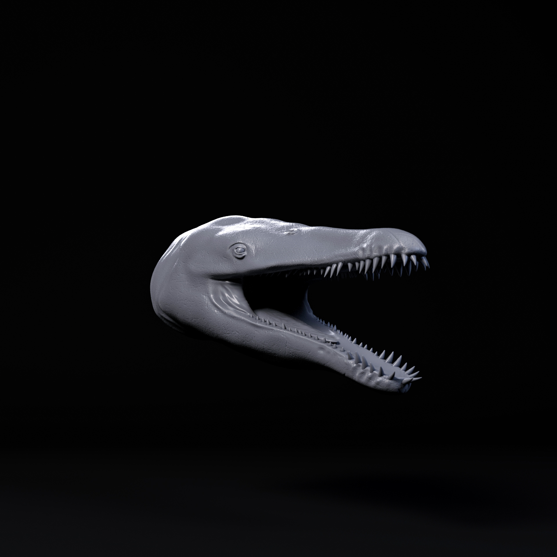Liopleurodon mount/head