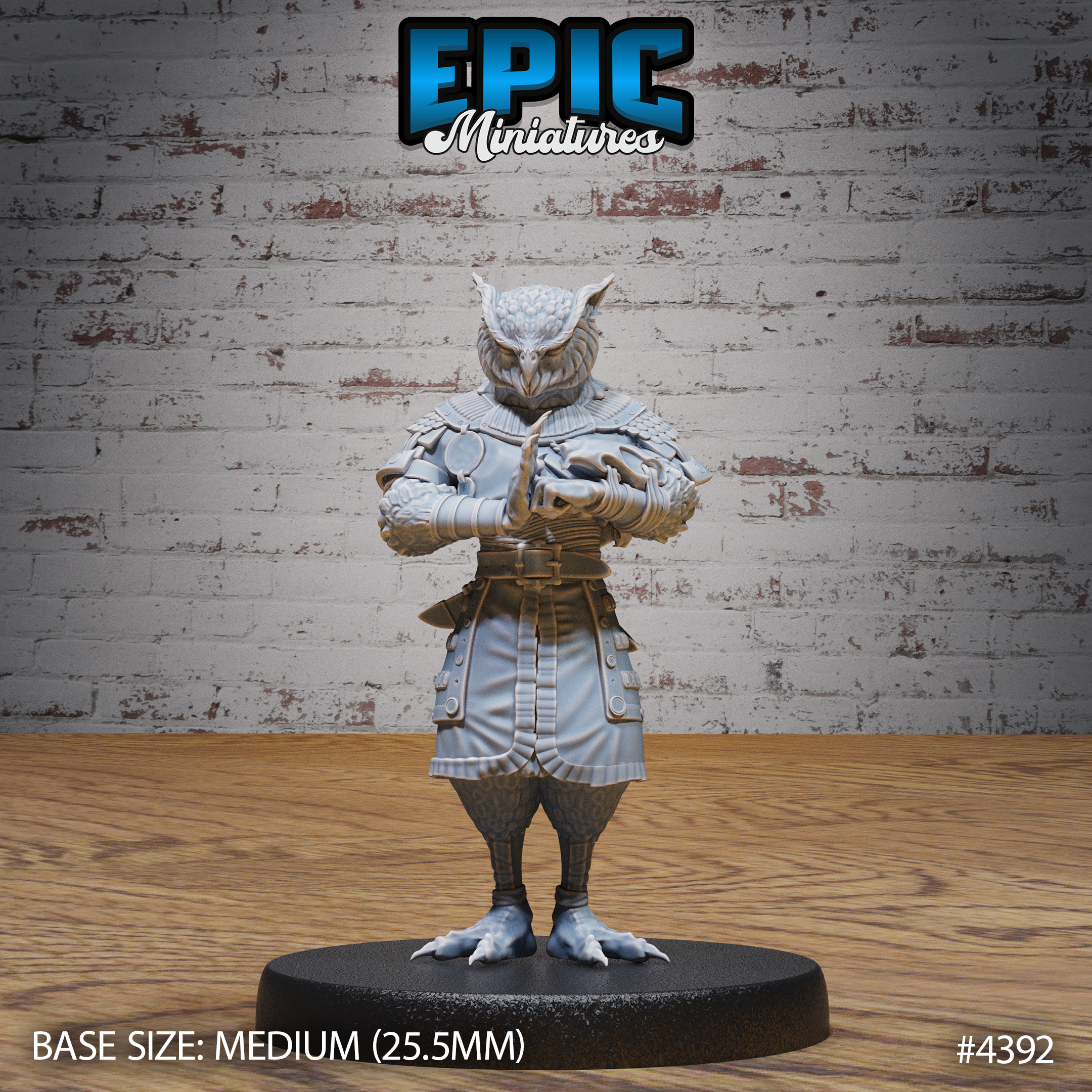 Owl Folk Monk Pray / Bird Folk Fighter / Birdfolk Warrior / Wild Animal Beast / Humanoid Nature Spirit / Forest Encounter