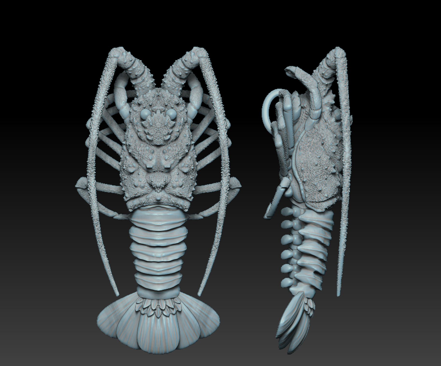 Crabfish/Lobster