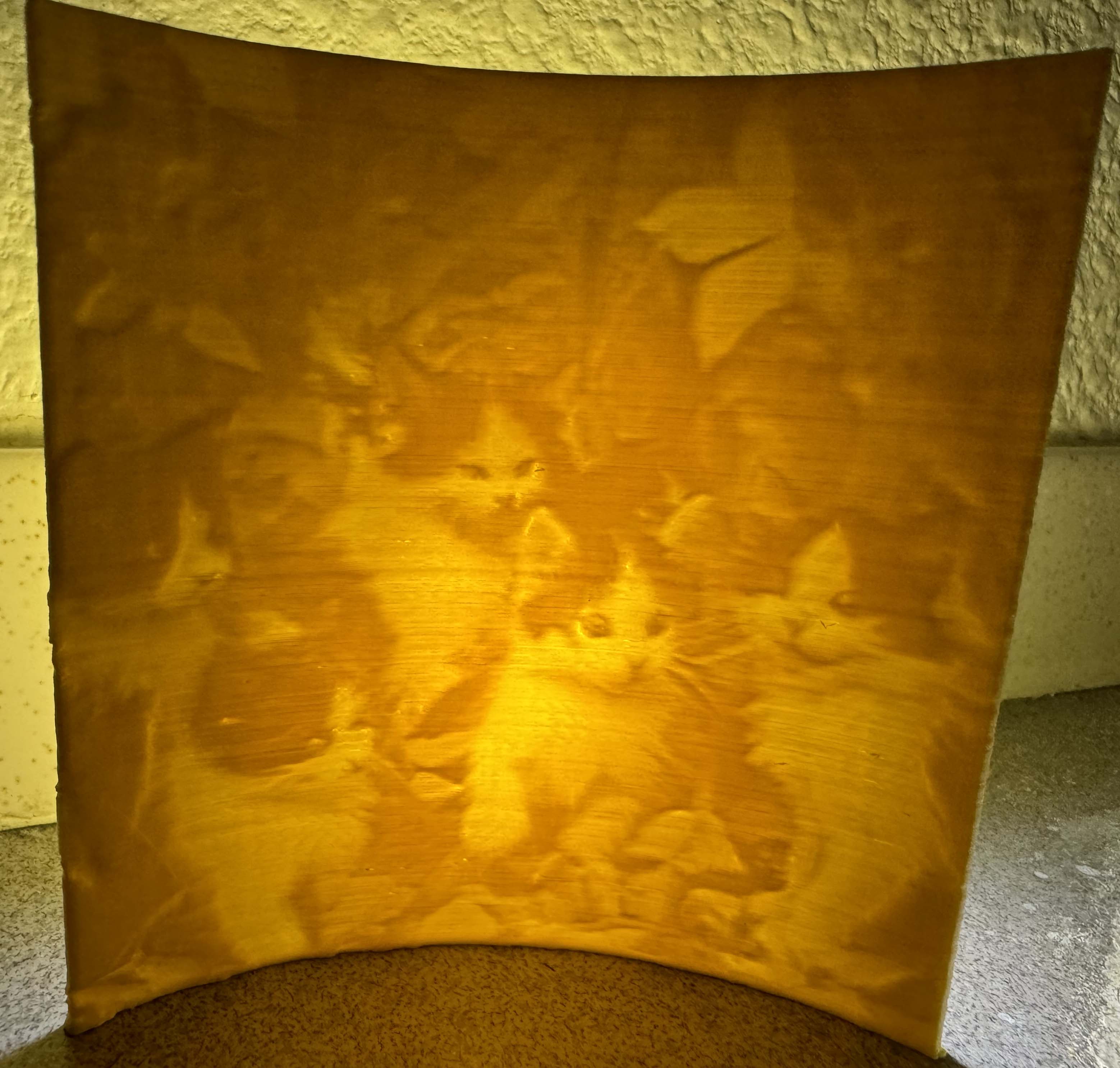 Lithophane of Forest Kittens