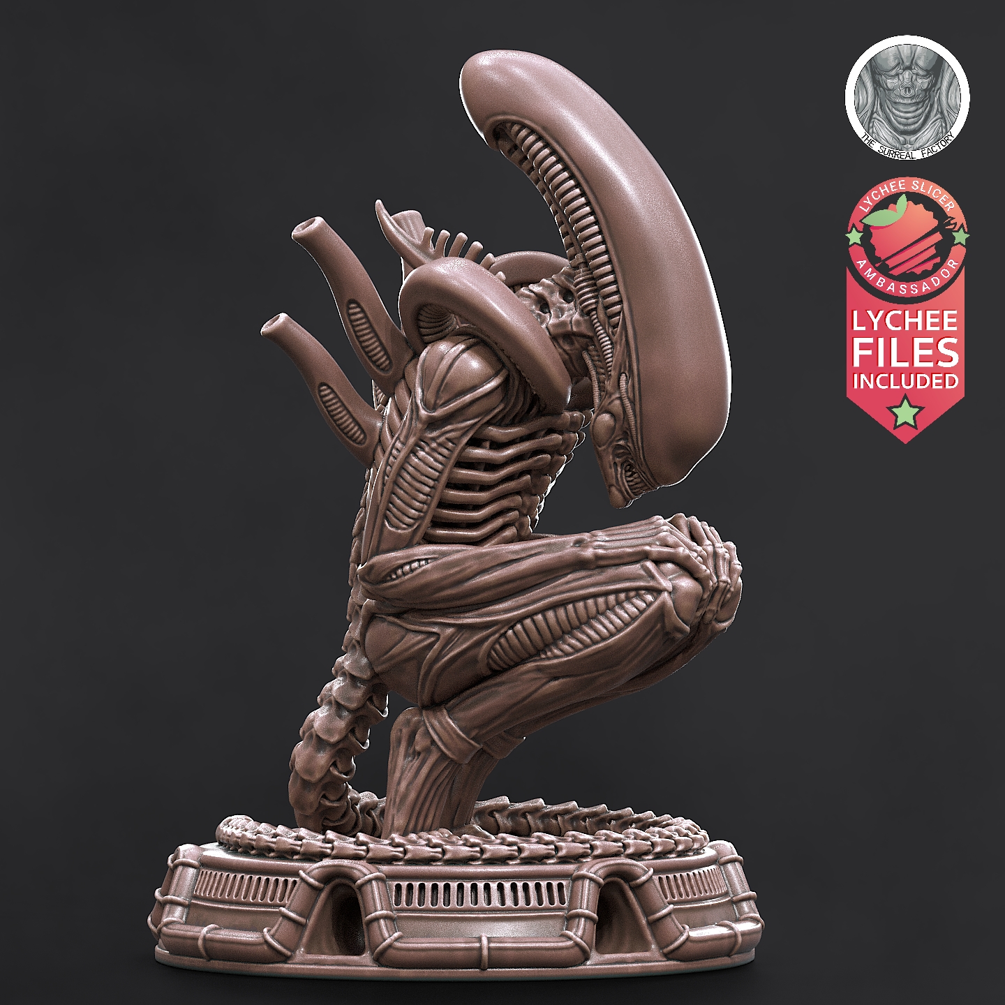 Sleeping Xeno