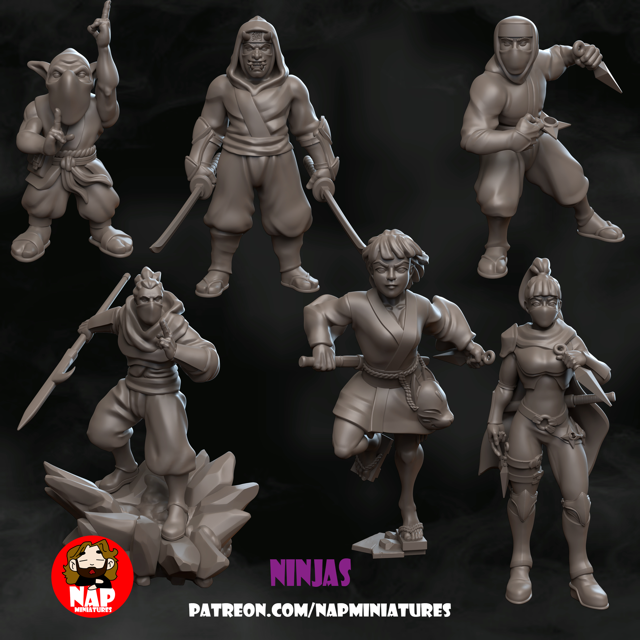 Nap Miniatures - February Release - Ninjas