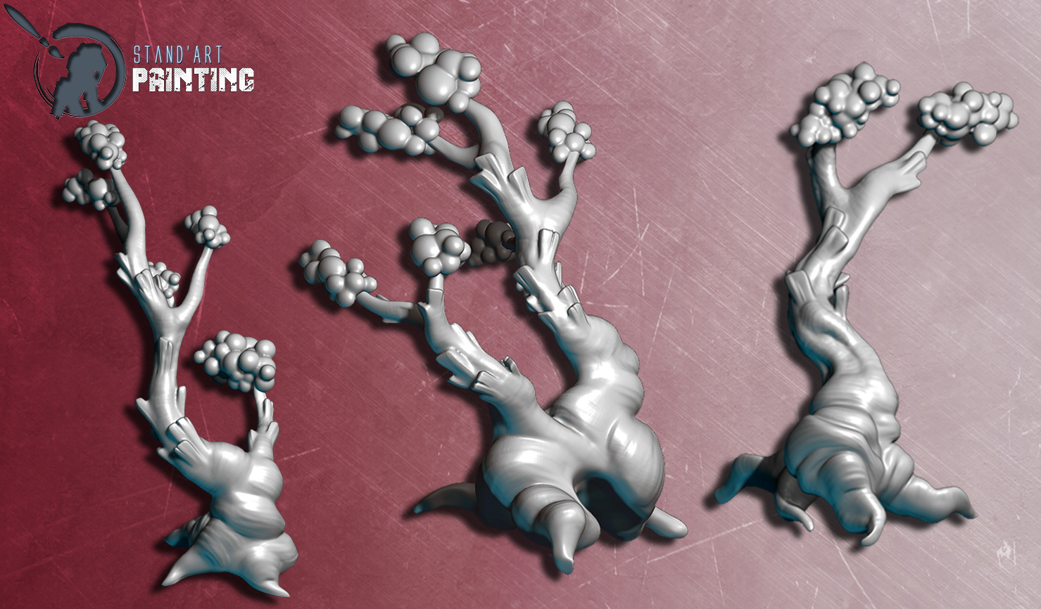 Space cotton plants