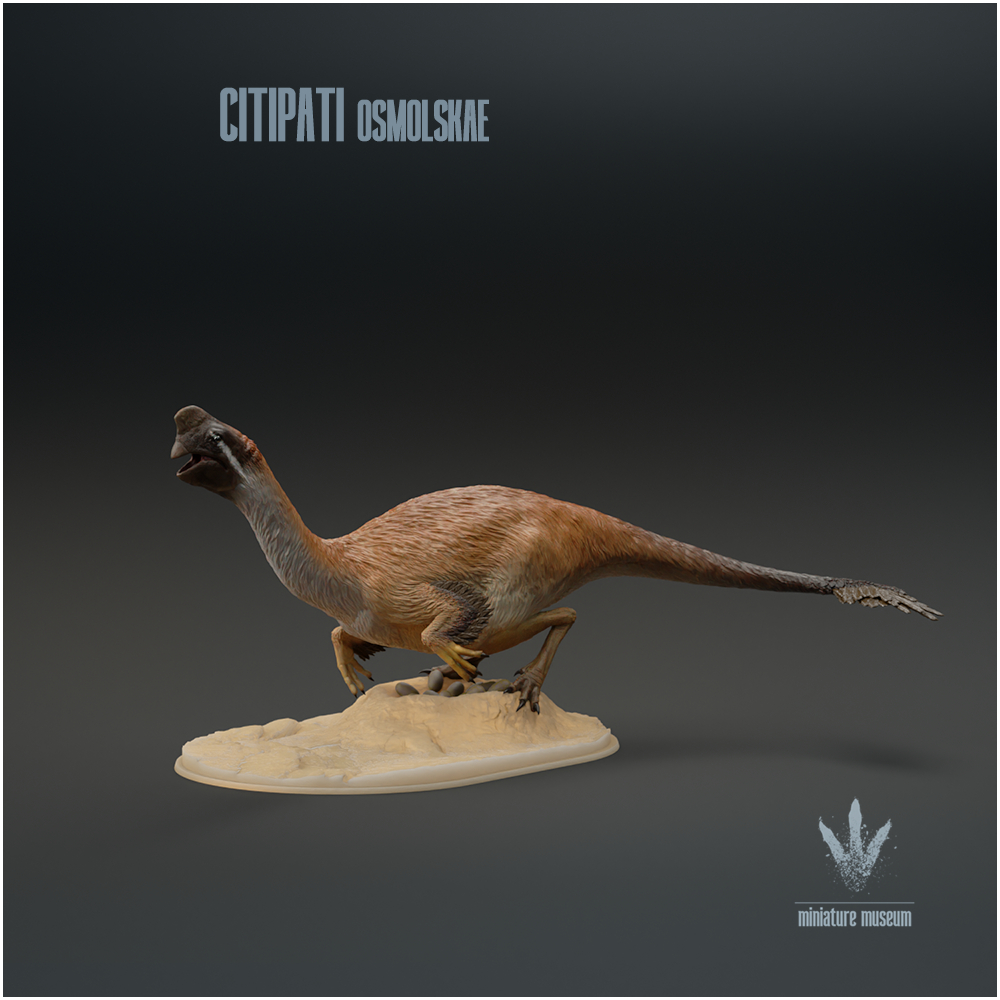 Citipati osmolskae : Big Mama
