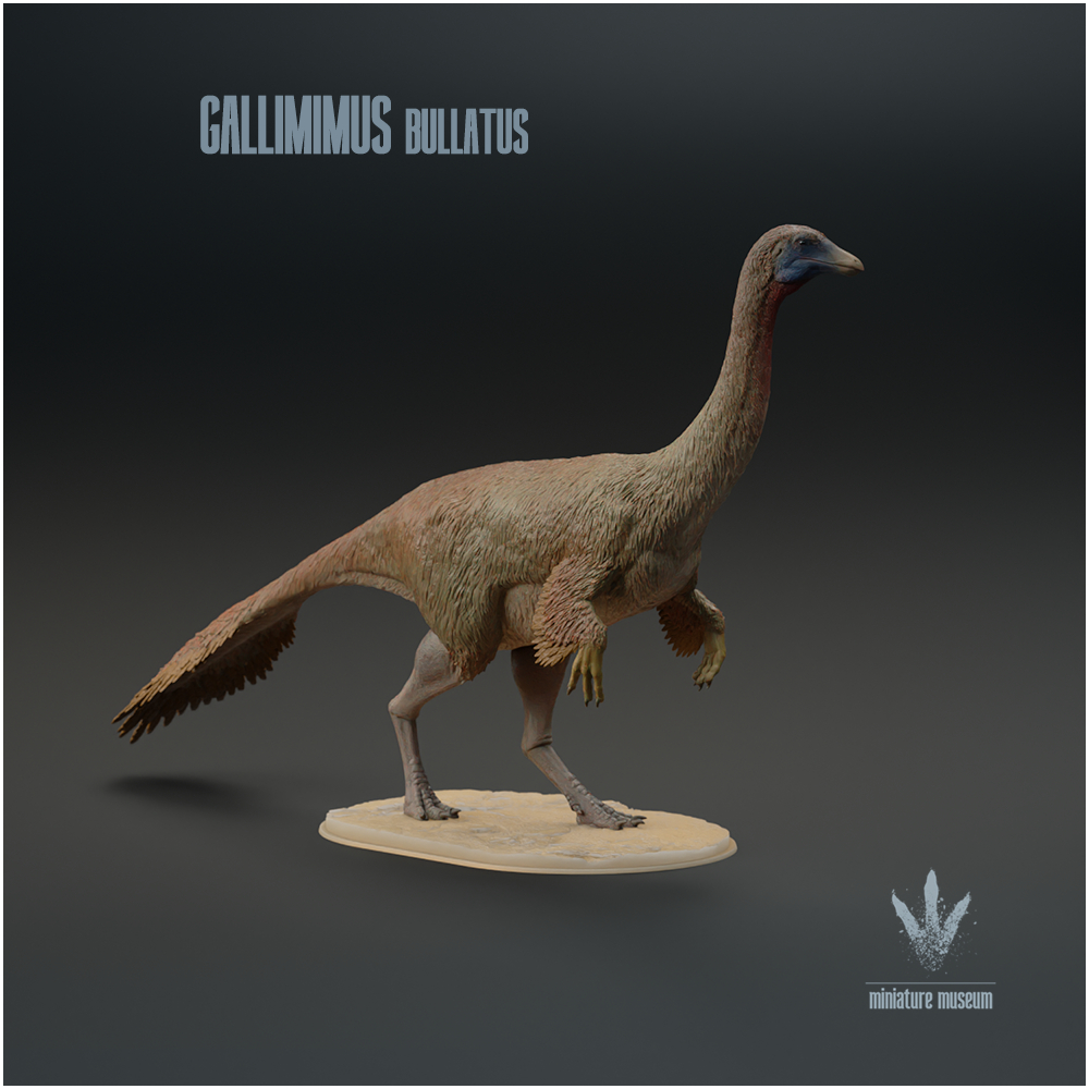Gallimimus bullatus : The Chicken Mimic