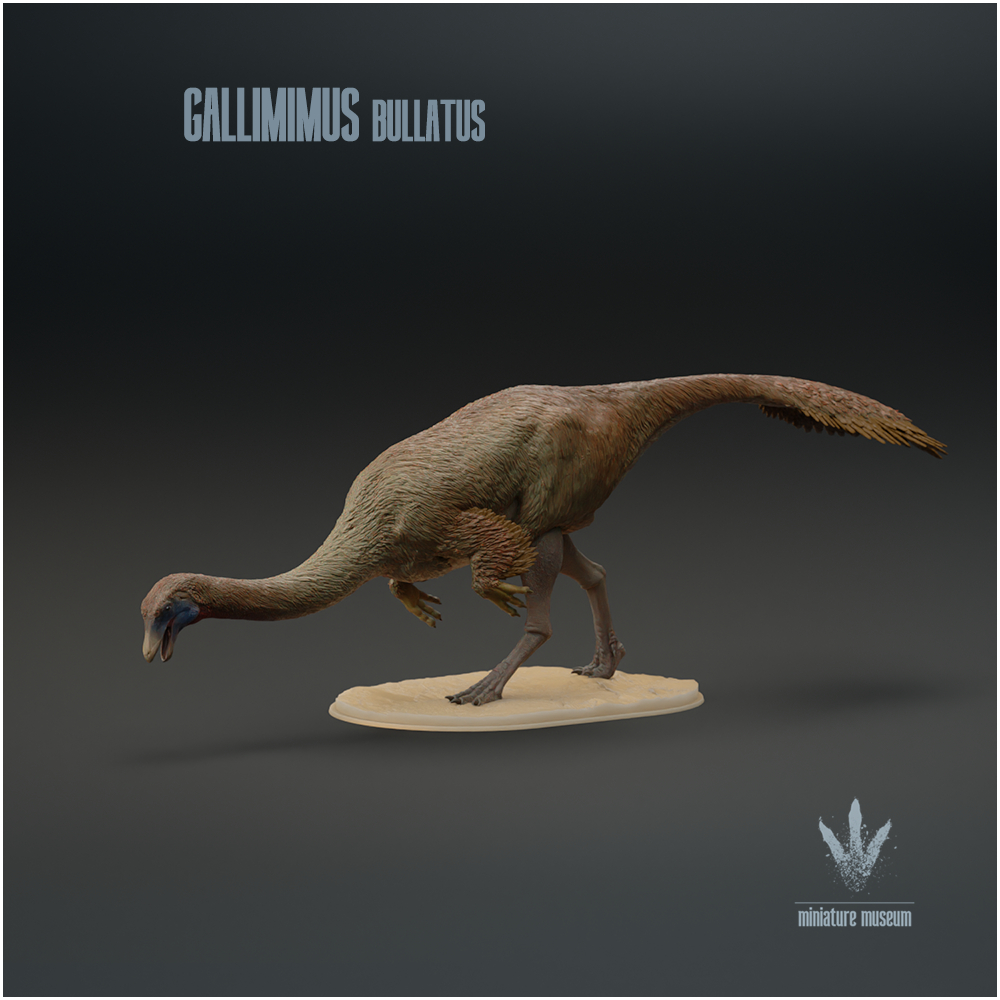 Gallimimus bullatus : Feeding