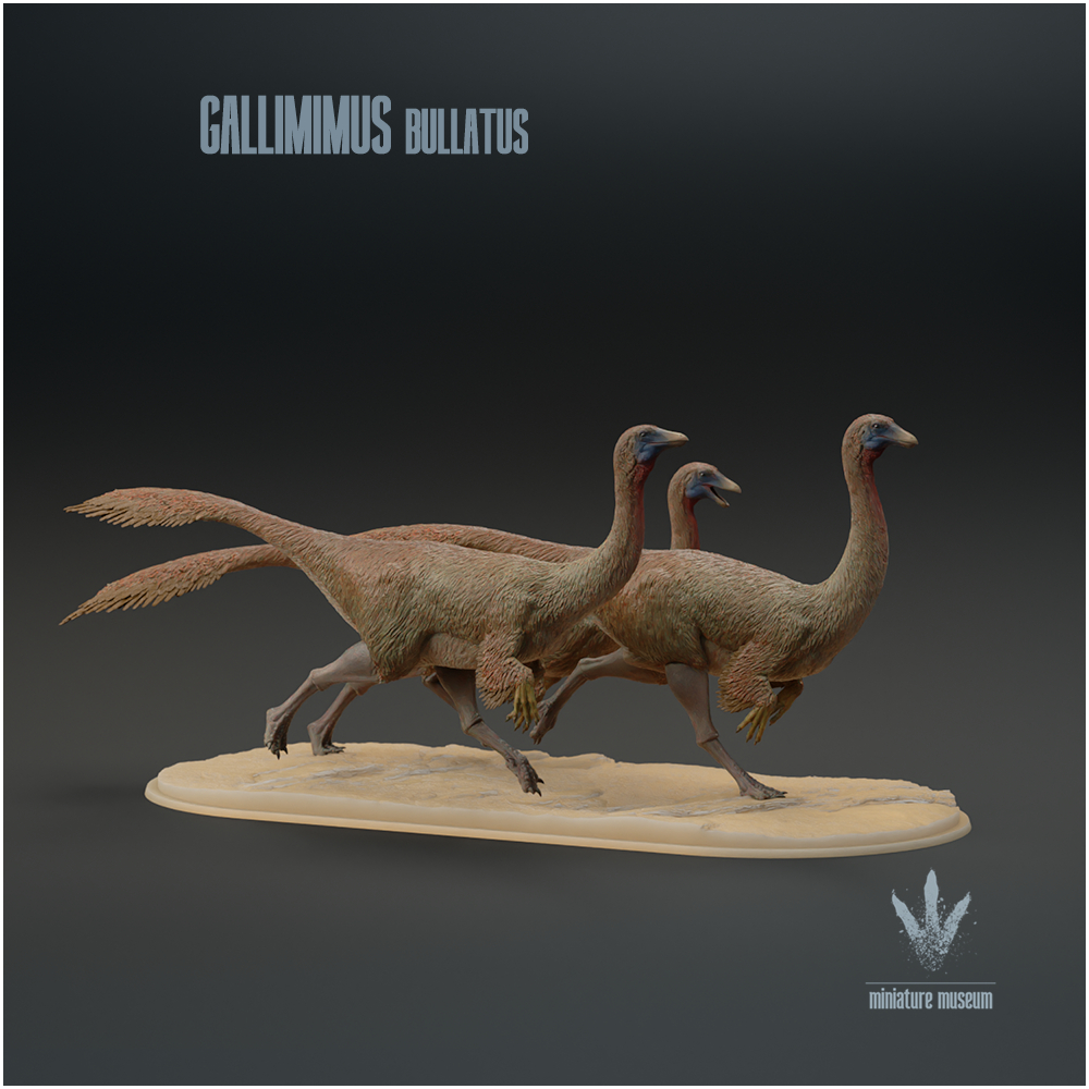 Gallimimus bullatus : Flock