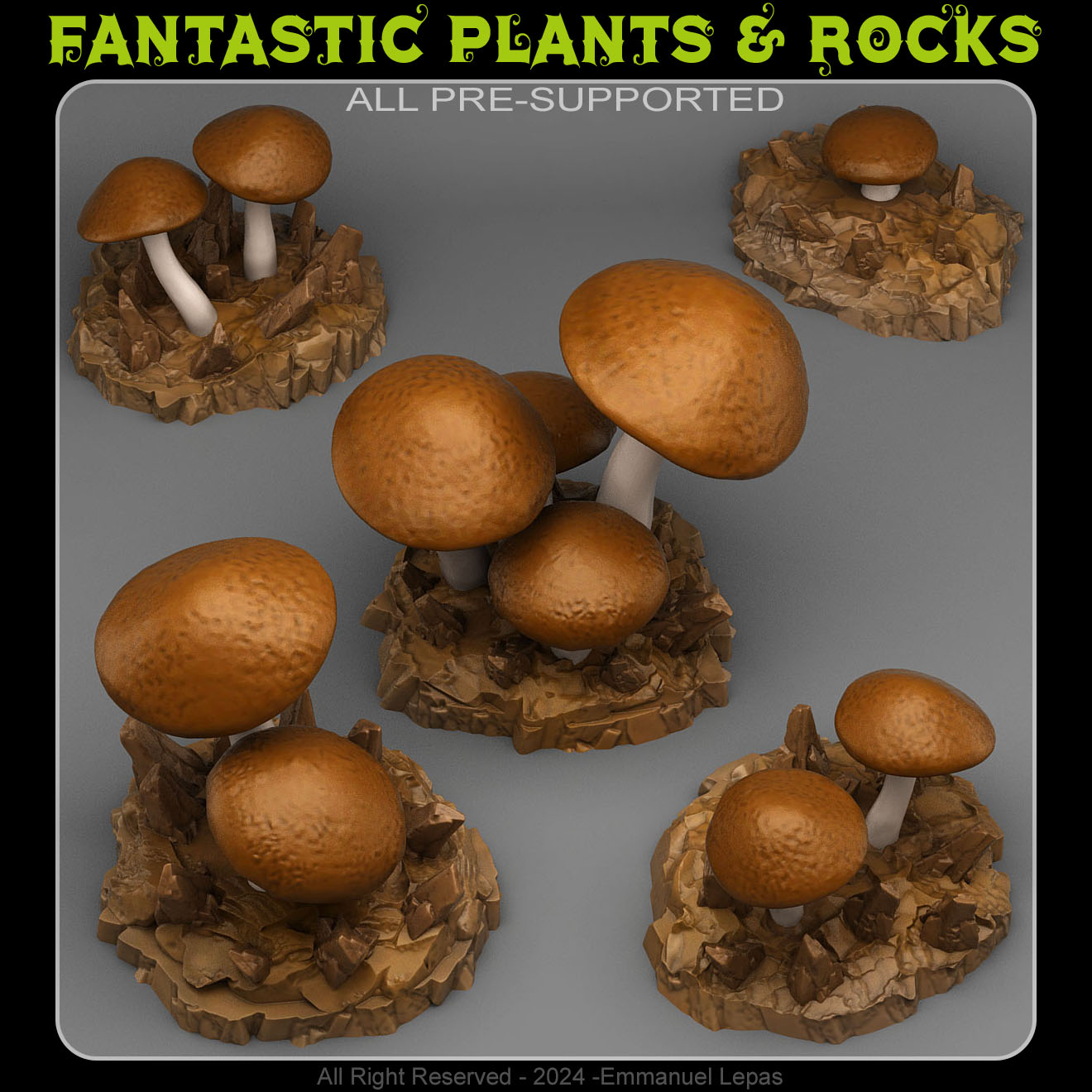 GIANT DESERT MUSHROOMS